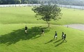 牛剑藤校收割机！上海诺美凭什么让众多学子进入国际顶尖学府？