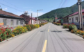 临江市：千株绽放铺就美丽乡村新图景