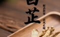 “AI”上中医药·每天认识一味中草药（32）｜白芷