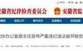池州市政协办公室原主任吴伟被双开