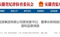 安徽省能源集团有限公司原党委书记、董事长陈翔被查