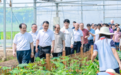 苏州市关工委召开校外劳动教育阵地现场观摩会