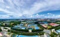 四连增+同比增两倍！哈高新区服务公司创新机制赋能区域经济逆势突围