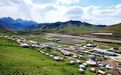 “帐篷花”开雪域高原　迎候四面八方游客