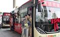 一对新人租公交车当婚车 新娘：是豪华车队无法替代的温暖