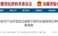 合肥高新技术产业开发区正县级干部吕长富被查