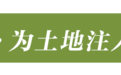 6%有多少种可能？解锁山东土地背后的“顶配”方程式