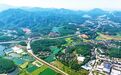 新会区罗坑镇：湾区生态小镇 产业活力新城