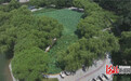 石家庄市鹿泉区：万株荷花绽放 开启夏日赏荷季