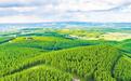 二次创业唤醒“沉睡山林” 承德围场积极探索林业高质量发展路径