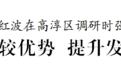 周红波在高淳区调研：发挥比较优势 提升发展能级