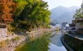 从“保生态”到“生财富”，鄞州亭溪小流域走出特色共富路！