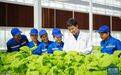 对口援疆助力戈壁兴建智慧农业植物工厂