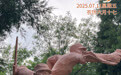 “你好，运河”（72）：精神永流传