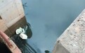 湖南益阳一地河水发黑发臭 当地：属实，正研究解决办法