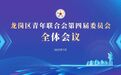 踔厉奋发开新局 砥砺青春展宏图 | 龙岗区青年联合会第四届委员会全体会议召开！