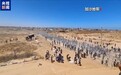 救人还是杀人？美以在加沙物资分发点成“杀戮点”
