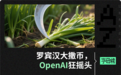 OpenAI币，新型镰刀？