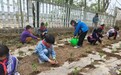 从春耕夏耘到成果分享　华亭娃的劳动“种子”发芽了