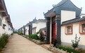 从泥泞土房到路宽院净　华亭这个村靠药材逆袭