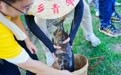 奉化：“纳凉朋友圈”激活农文旅共富新动能