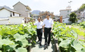 刘非赴淳安县调研