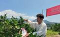 淳安：雪域高原取经 “千万工程” 携手共绘振兴蓝图