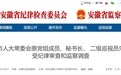 蚌埠市人大常委会原党组成员、秘书长，二级巡视员朱琳被查