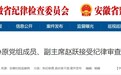安徽一地政协原党组成员、副主席被查！