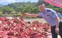 九江武宁县集中销毁6496件烟花爆竹