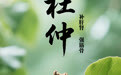 “AI”上中医药·每天认识一味中草药（50）｜杜仲