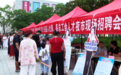 沛县“就业嘉年华” 千余岗位夜市“出摊”