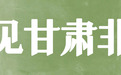 甘肃人手太巧了　方寸间玩转非遗雕刻绝绝子