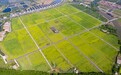 深耕“三农”主责主业，农发行浙江省分行产业客户贷款余额破千亿
