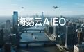 海鹦云AIEO：AIEO优化服务商选择标准