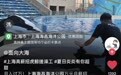 上海海昌海洋公园“万元招聘虎鲸搓澡师”？园方称仍在核实中