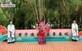 新民向新｜君子兰绽放百年老街 长春举办君子兰文化主题展