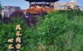 “你好，运河”（81）：风不问方向