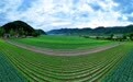 太白县：构建全季全域旅游格局 打造秦岭旅游新标杆