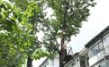 “走遍通化、看遍山城”专项行动成效初显