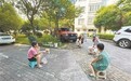 去湾里、去靖安、去庐山……南昌老年人“躲”进山里避暑