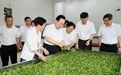 王浩在淳安调研时强调　护好一湖碧水 放大特色优势 努力成为践行“绿水青山就是金山银山”理念示范和样板
