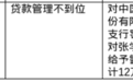 中国农业银行庐山市支行被罚30万元，责任人共被罚12万元