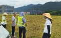 与时间赛跑 中国人寿财险浙江省分公司迎战“丹娜丝”！