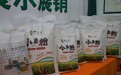 灵台打造“甘味”新标杆　为乡村振兴注入强劲动能