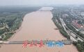 黄河济南段安全度汛，泺口浮桥今日将恢复通行