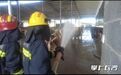 供水故障牛群濒临中暑，消防实施人工喷淋降温