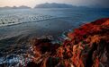 探寻台州秘境海岸线 发现夏天的另一面