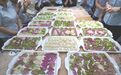 职工风采｜新华保险陕西分公司工会开展 “同心聚力 饺香满堂”职工团建活动