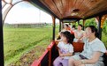 抚州东乡区：乡村观光小火车 成亲子游“新宠”（图）